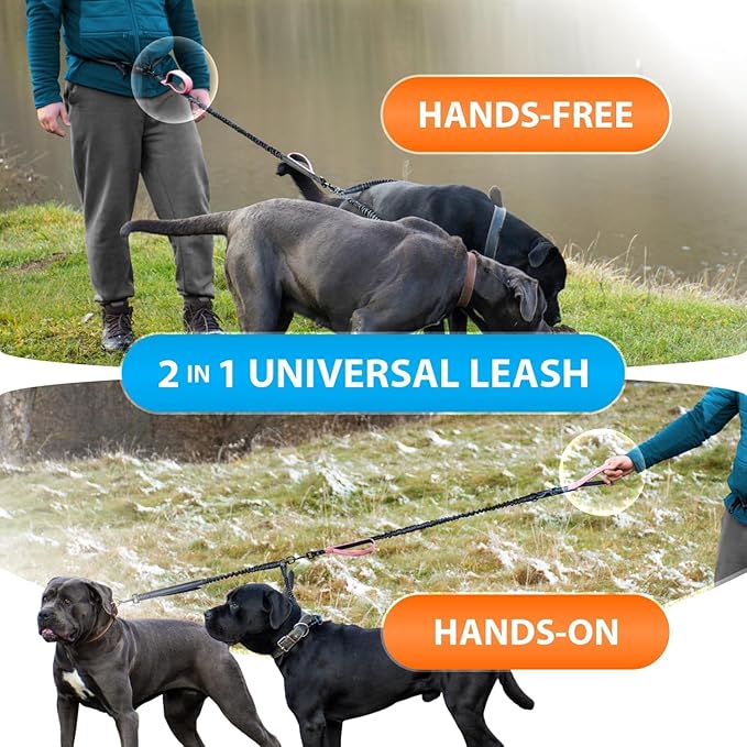 SparklyPets - Hands Free Dual Dog Leash for Medium and Large Female Dogs - Padded Handles, Reflective Stitches, No Pull, Tangle Free - Walking, Hiking, Jogging, Canicross Waist Leash - Gradient Pink