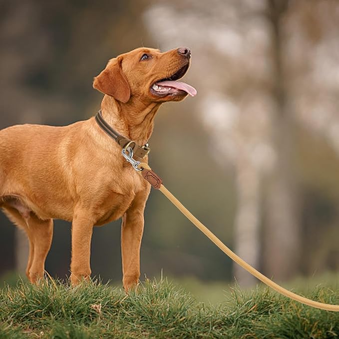 Mile High Life | Premium Leather Handle Dog Leash | Strong Rope Leash | Zinc Alloy Strong Clasp | Small Medium Large Dogs | 4/5/6 Feet(Yellow, 72 Inch (Pack of 1))
