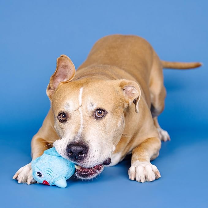 Fringe Studio Out of The Blue Rubber Dog Toy with Plush Exterior, Pet Shop Collection (519018)