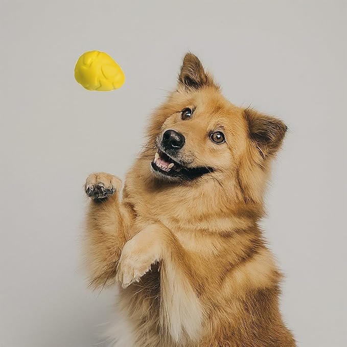 Generic Durable Dino Egg Dog Chew Toys for Aggressive Chewers: Long Lasting, Natural Rubber, Squeaky Fun, Yellow