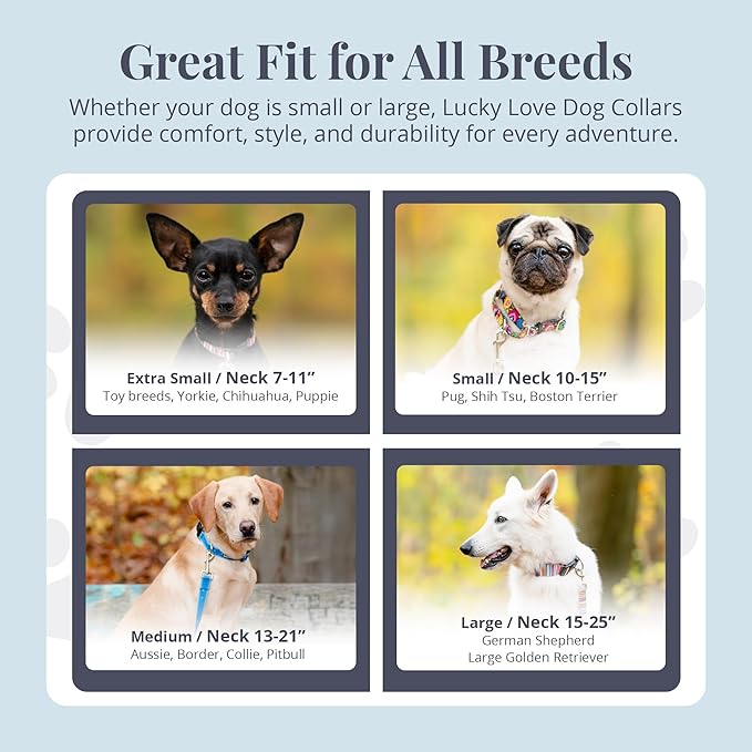 Lucky Love Dog Martingale Dog Collar - Adjustable, No-Slip, Durable, & Soft Webbing Collar for Male and Female Dogs Ideal for Training & Walking - Ladybird, Medium