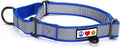 Pawtitas Personalized Dog Collar Martingale Dog Collar with Name Phone Number Reflective Martingale Dog Collar Customized Collar for Small Dogs | Blue Custom Dog Collars for Small Dogs
