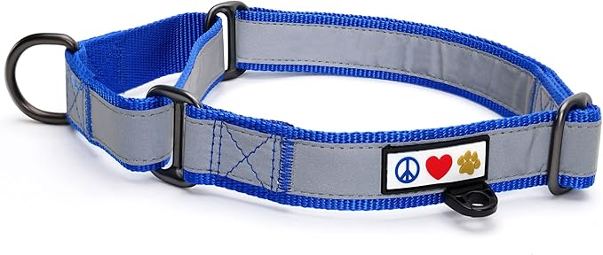 Pawtitas Personalized Dog Collar Martingale Dog Collar with Name Phone Number Reflective Martingale Dog Collar Customized Collar for Small Dogs | Blue Custom Dog Collars for Small Dogs