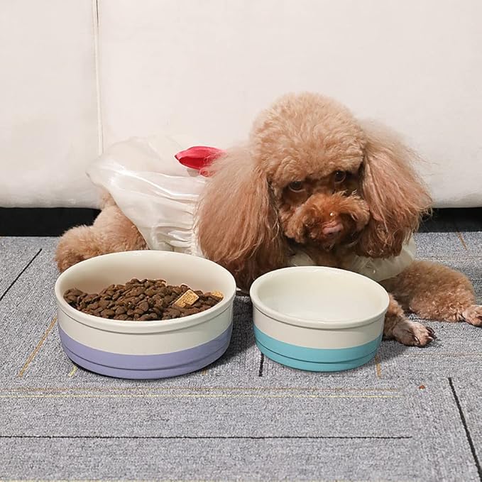 Sweejar Ceramic Dog Bowls, Dog Food Dish for Small Dogs and Cat, Heavy Duty Porcelain Pet Bowl for Canned Food and Water 17 Fl Oz （Turquoise）