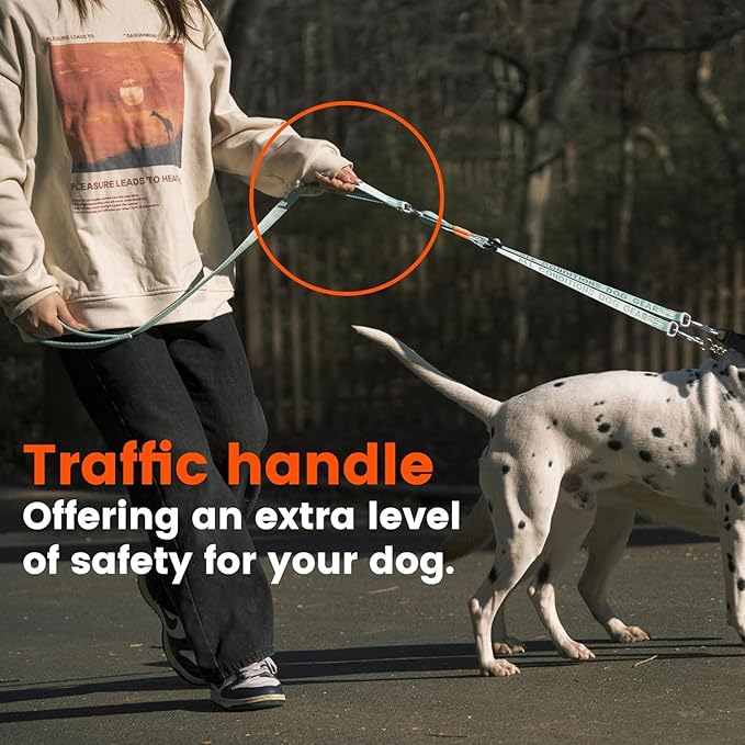 HOWGO Double Dog Leash, No Tangle 360° Swivel, Adjustable Two Padded Handles, Double Clip Dog Leash Coupler Splitter for 30~150 lbs Large and Medium Breeds (Orange, 4/5'' x 4.8 FT, Std)