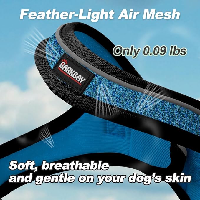 Dog Harness and Leash Set,Step in Small Sized Dog Harness,Soft Mesh,No-Chock,Reflective Adjustable,Secure with Hook & Loop Fastener,Puppy Vest for Small,Medium Dogs(Blue/Black,XXXS)