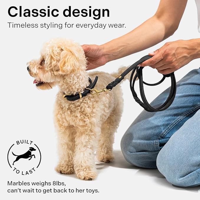 Scout Supply Classic Leather Dog Leash | Strong Heavy Duty Thick Full Grain Leather | Waterproof & Rust-Proof Brass Hardware (Black, L: 4.5 ft x 2/3 in)