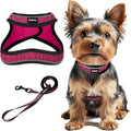 Dog Harness and Leash Set,Step in Small Sized Dog Harness,Soft Mesh,No-Chock,Reflective Adjustable,Secure with Hook & Loop Fastener,Puppy Vest for Small,Medium Dogs(Pink/Black,XXXS)