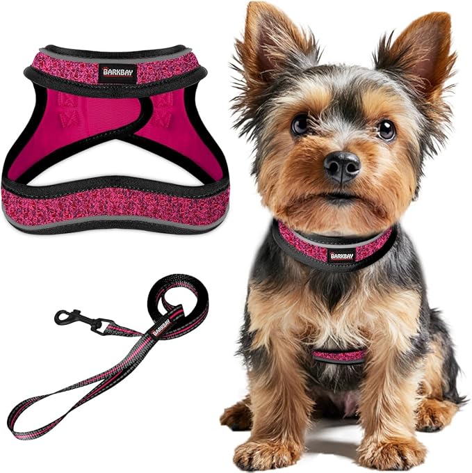 Dog Harness and Leash Set,Step in Small Sized Dog Harness,Soft Mesh,No-Chock,Reflective Adjustable,Secure with Hook & Loop Fastener,Puppy Vest for Small,Medium Dogs(Pink/Black,XXXS)