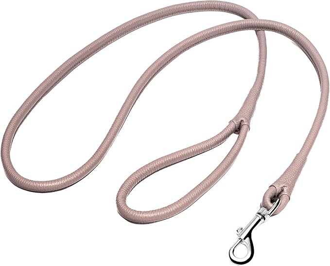 OOPSDOGGY Rolled Leather Dog Lead 6ft Heavy Duty Training Leash for Small Medium Large Dogs & Puppy Black Brown Red (Beige, Small)