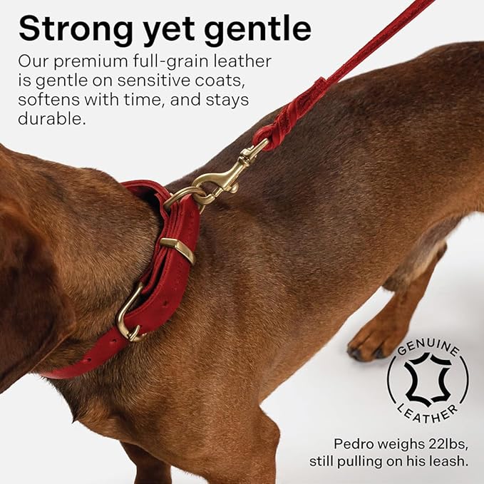 Scout Supply Classic Leather Dog Leash | Strong Heavy Duty Thick Full Grain Leather | Waterproof & Rust-Proof Brass Hardware (Red, L: 4.5 ft x 2/3 in)