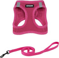 Voyager Step-in Pet Harness - All Weather Mesh, Adjustable Step in Harness for Cats and Dogs by Best Pet Supplies - 307S Fuchsia, XXXS