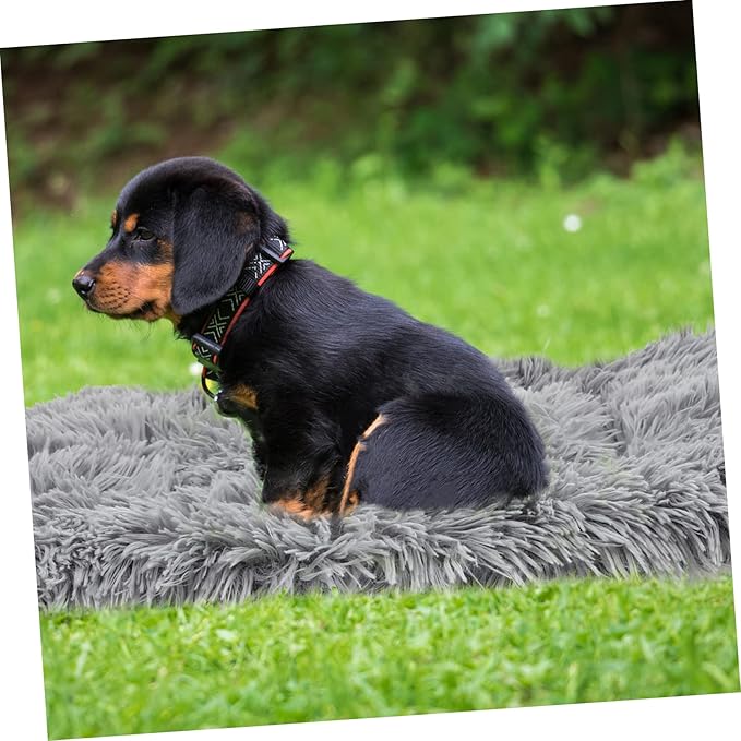 Large Warm PET Mat for Dogs Cats 55x45cm Fluffy Coral Fleece Cushion Washable Sleeping Pad for Winter Self-Warming Resting Bed Mute Base