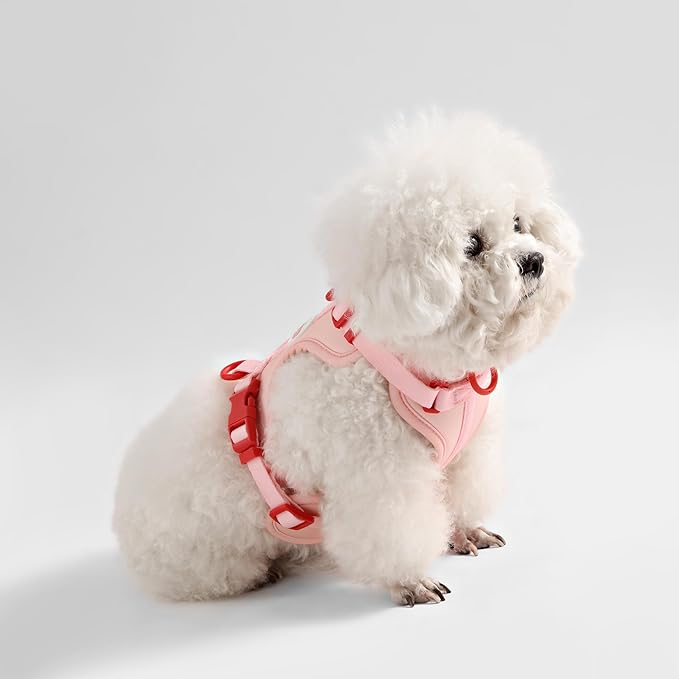HNS1000G Arlo Extra Small Adjustable Soft Padded No Pull Pet Harness with 3 Buckles and 3 Leash Clips, Paloma