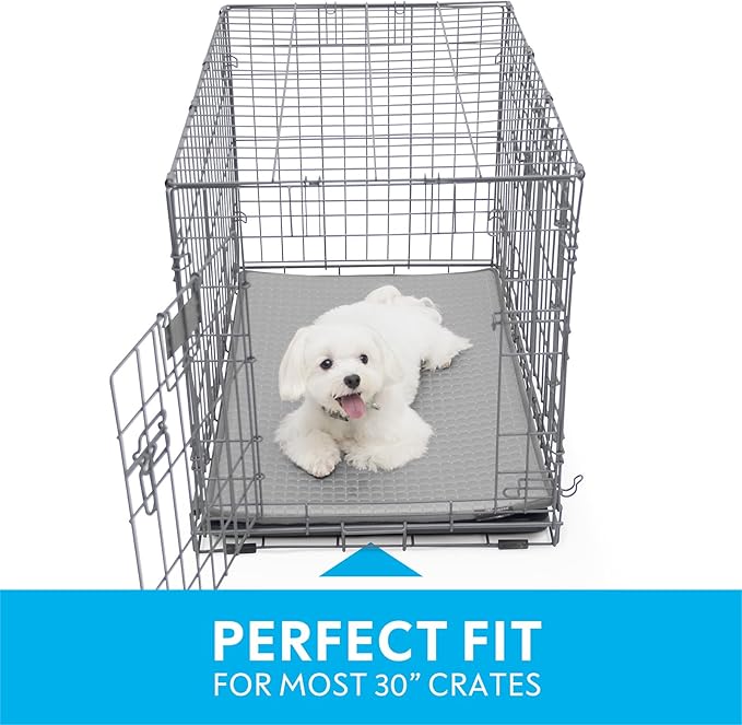 Paw Inspired Cooling Orthopedic Crate Pad for Dogs and Cats, Washable Memory Foam Dog Cooling Mat (29x18 Inch Small Size for 30 Inch Kennel, Gray)