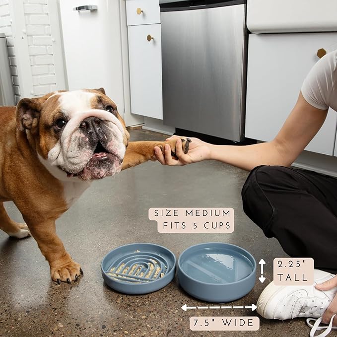 Should We Go? The Perfect Dish No-Spill Dog Water Bowl, Less Mess Non-Tippable Water & Food Bowl, Pure Silicone with Suction Cup, Fits 5 Cups 7.5" Across x 2.25" Tall, Ideal for All Pets, Medium-Sand