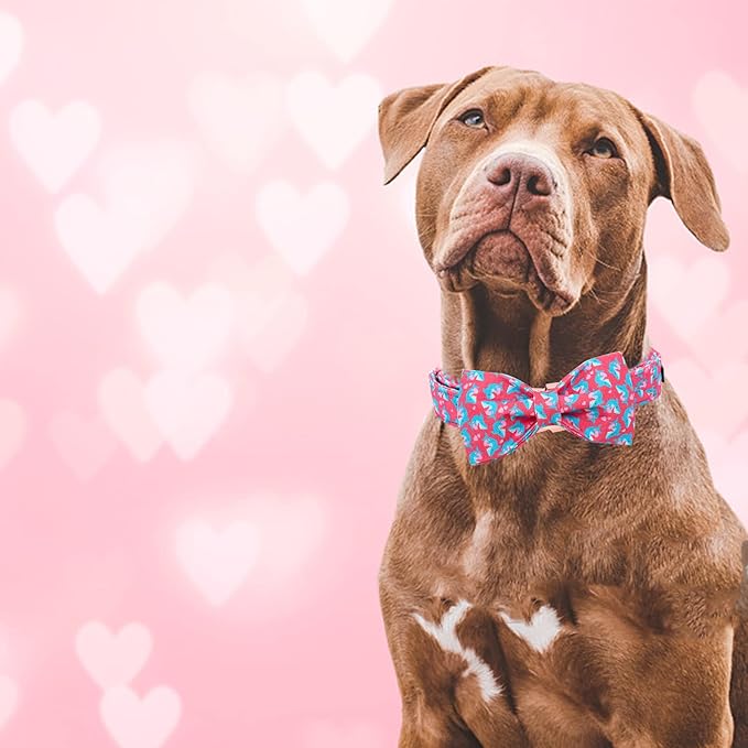 Elegant little tail Valentine's Dog Collar, Heart Dog Collar Cute Girl or Boy Puppy Collars Bowtie Pet Gift Adjustable Pet Collars for X-Small Dogs