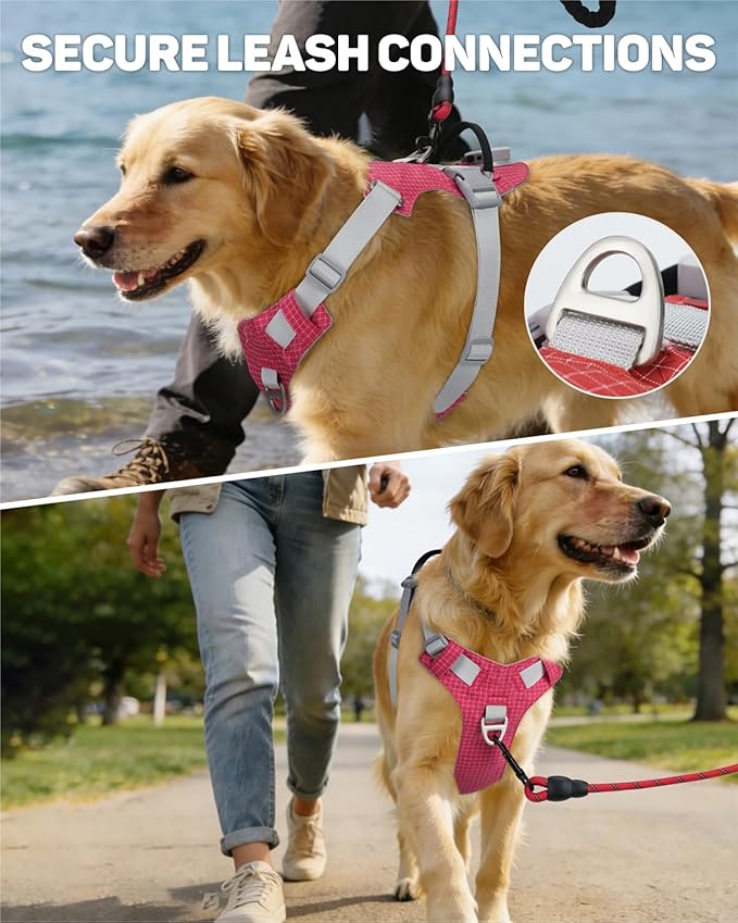 TagME No Pull Dog Harness with 2 Leash Clips,Lightweight & Visible for All-Day Walking,No Choke Pet Vest Includes AirTag Holder for Large Dogs,Melon Red