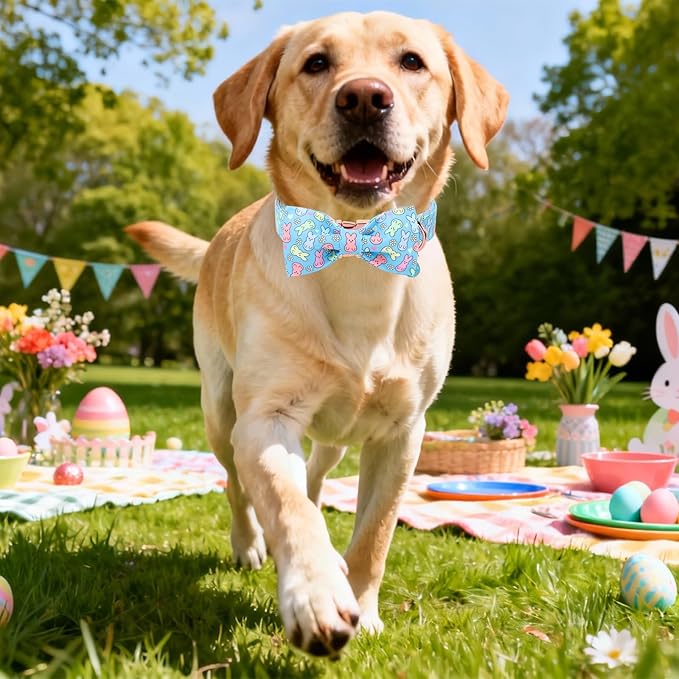 DOGWONG Easter Dog Collar, Blue Bunny Print Dog Collar with Bow, Girl Boy Pet Spring Holiday Dog Collars for Small Medium Dogs,M