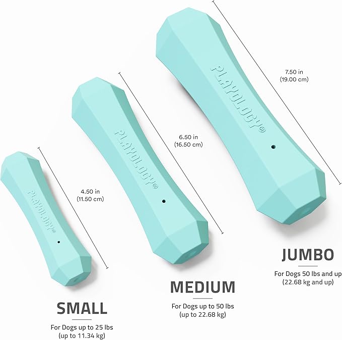 Playology Dog Toys | Durable Squeaky Chew Stick for Dogs | Medium Peanut Butter Scented Toy - Easy to Clean and Made from Non Toxic Materials