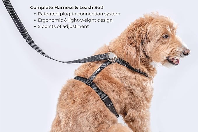 Dog Harness and Leash Combo Set, Magnetic Connection, Ergonomic Design (Midnight Black, Medium)