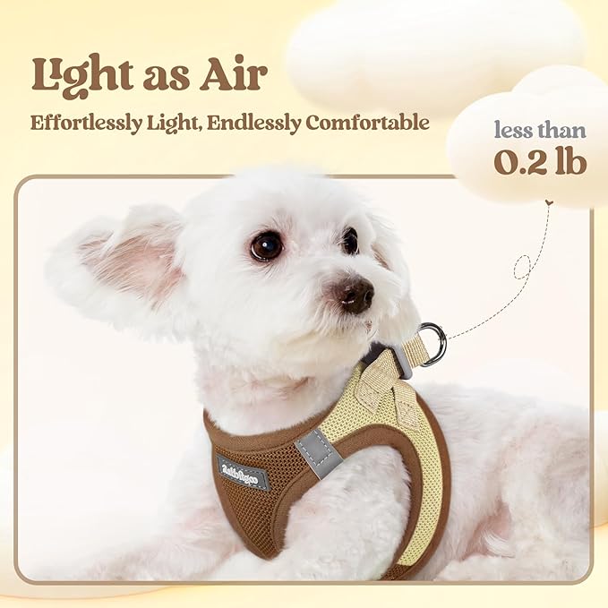 rabbitgoo Dog Harness Small Medium Sized and Leash Set, Step in Soft Light Puppy Vest, Breathable Mesh Pet Harness, Reflective for Safe Easy Walking, Brown & Beige L