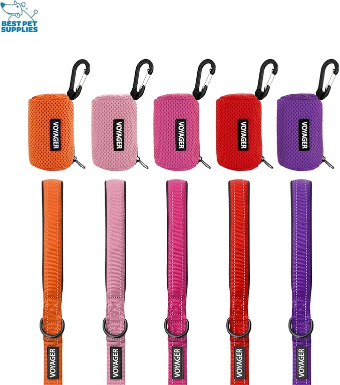 Best Pet Supplies 2-Pack Dog Poop Bag Holder Leash Attachment, Color, Reusable Mesh Dispenser Pouch for Travel, Walking, Park, and Outdoor Use, Soft and Durable with Clip-On - Mesh Baby Blue