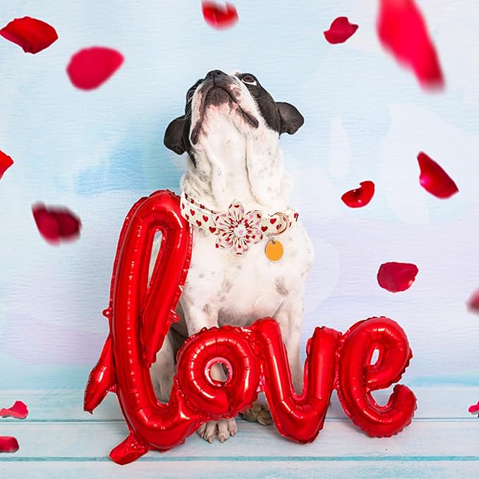 Elegant little tail Valentine's Dog Collar, Heart Dog Collar with Flower Cute Girl or Boy Pet Collars with Flower Puppy Gift Adjustable Pet Collars for X-Large Dogs