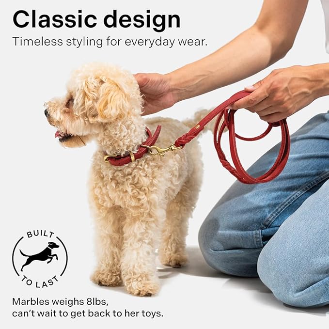 Scout Supply Classic Leather Dog Leash | Strong Heavy Duty Thick Full Grain Leather | Waterproof & Rust-Proof Brass Hardware (Red, L: 4.5 ft x 2/3 in)