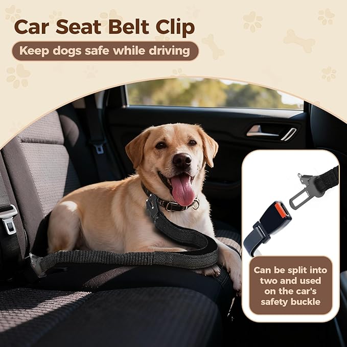 Detachable Heavy Duty Tactical Dog Leash, 9.7FT Hand-Free Bungee Shock Absorption Leash with Padded Handle Quick Release Metal Clip Car Seatbelt No Pull Training Lead for Medium & Large Dogs (Black)