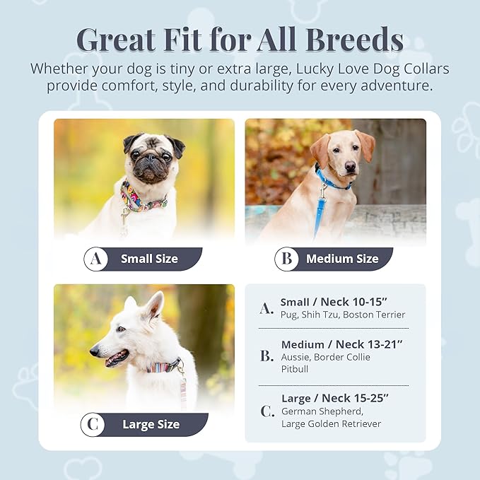 Lucky Love Dog Martingale Dog Collar & Leash - Adjustable, No-Slip, Durable, Comfortable, Soft Webbing, & Stylish Patterned Dog Collar & Leash Set for Male and Female Dogs - Linus Combo, Small