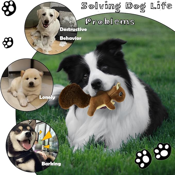 Squirrel Plush Dog Toy Squeaky Toy, Interactive Hide and Seek Replacement Dog Toys for Small & Medium Dogs (3Pcs Squeaky Squirrel C)