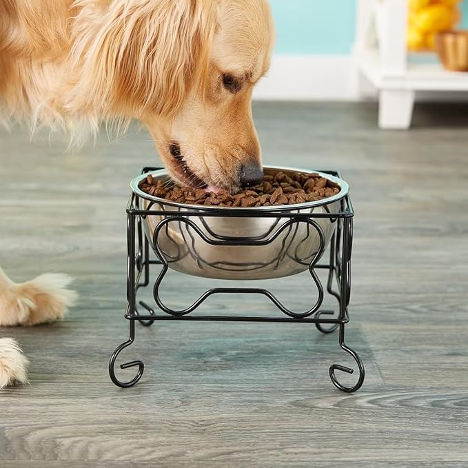 YML Elevated Stainless Steel Dog & Cat Bowl with Black Wrought Iron Stand, 5-Inch (2.5 Cups)