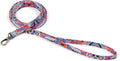Organic Cotton Dog Leash for Small,Medium and Large Breed,Brass Hardware Pet Leash for Walking,Running and Training 6FT