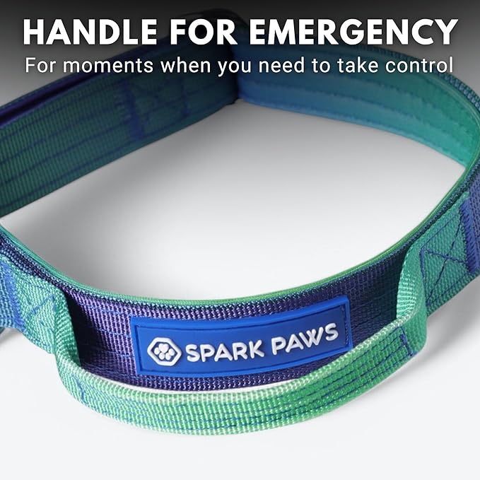 Spark Paws Tactical Dog Collar - Heavy Duty, Premium Quality, Thick and Durable for Large and Medium Dogs - Lime Wave - XS - 1"