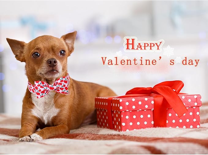 DOGWONG Valentine Dog Collar with Bow, Pink Cherry Heart Dog Collar Durable Soft Cotton Pet Dog Collar Cute Heart Valentines Day Puppy Necklace for Small Medium Large Dog