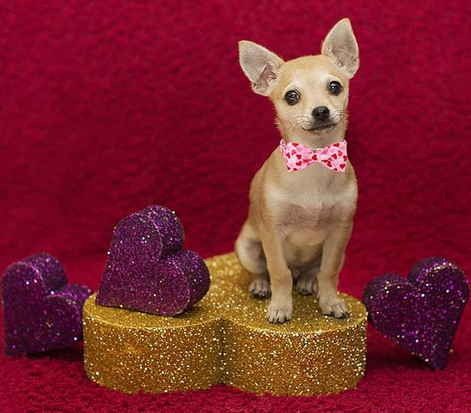 DOGWONG Valentine's Dog Collar with Bowtie - Pink Heart Adjustable Cotton Heart Dog Collar - Perfect for Small, Medium, Large Dogs
