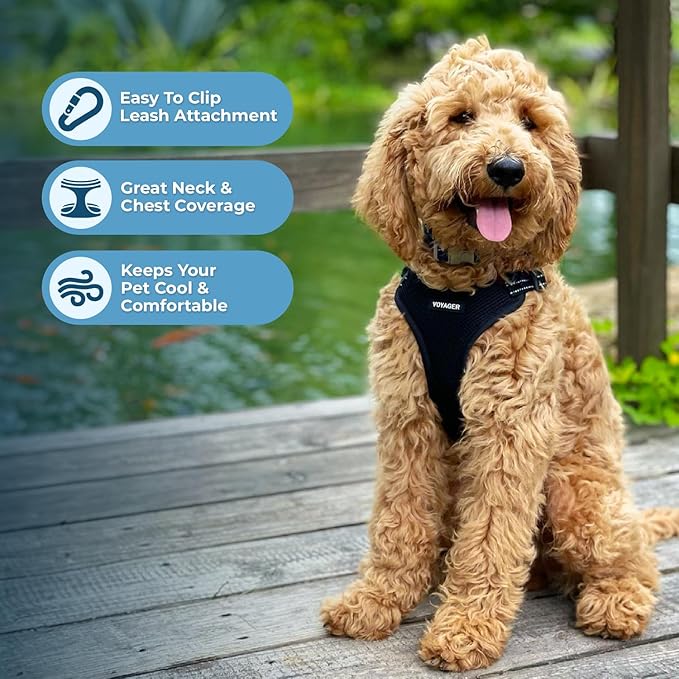 Best Pet Supplies Voyager Adjustable Step-in Flex Breathable Mesh Dog Harness for Small Medium Large Dogs Leash Set (Black), XL