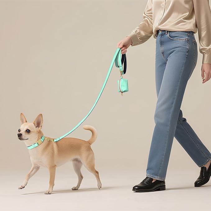 Didog Soft Padded Dog Collars for Small Dogs, Colorful and Durable Dog Collar with Quick Release Buckle, Light and Breathable for Daily Walking, Teal, S