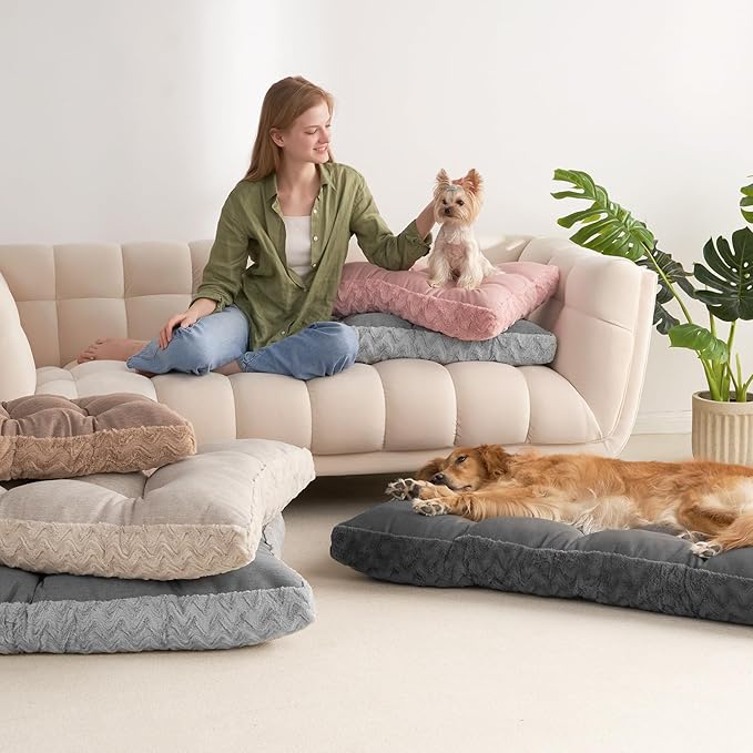 EHEYCIGA Washable Small Dog Bed for Crate 23x18 Inch, Reversible Kennel Pad for Puppy Weight Up to 25 lbs, Plush and Comfy Pet Sleeping Mat, Beige