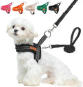 BEAUTYZOO Dog Harness for Small Dogs, No Pull Dog Harness and Leash Set, Soft Escape Proof Puppy Vest Harness with Handle, Reflective Lightweight Step in Harness for Girl Boy Dogs, Black S