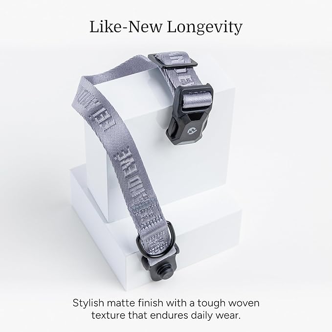 2026 New Edition, Fei & Eve MagEase Dog Collar - Patented Magnetic Buckles | Fur-Safe | Premium 210D Nylon | 450LB Escape-Proof | Adjustable Fit | Small (Twilight Gray)
