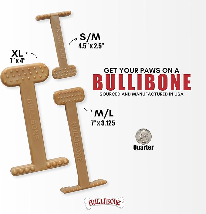Bullibone Nylon Dog Chew Toy for Aggressive Chewers - Dental Hygiene Bone with Peanut Butter Flavor, Durable Tough Chew Toys for Large Dogs, Indestructible Dog Bone - 2 Pack