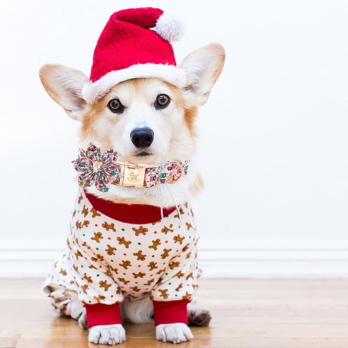 Elegant Little Tail Dog Collar with Flower, Christmas Dog Collar for Small Dogs