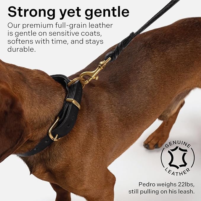 Scout Supply Classic Leather Dog Leash | Strong Heavy Duty Thick Full Grain Leather | Waterproof & Rust-Proof Brass Hardware (Black, L: 4.5 ft x 2/3 in)