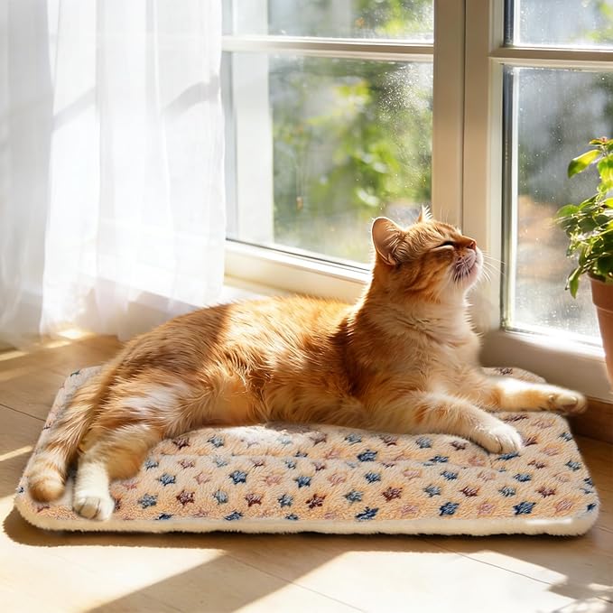 Mora Pets Cat Bed Dog Crate Pad Ultra Soft Pet Bed with Cute Star Print Washable Crate Mat for Small Dogs and Indoor Cats Reversible Fleece Dog Kennel Pad Cat Carrier Mat 14 x 17.5 inch Brown