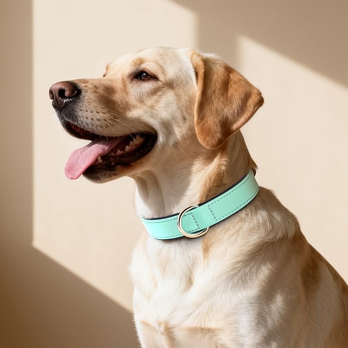 Didog Soft Padded Dog Collar for Large Dogs, Lightweight and Breathable Dog Collar with Metal Buckle, Green, XL