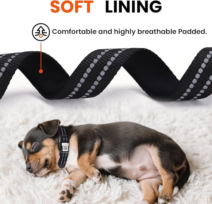 Reflective Dog Collar with QR Code Tag, Personalized Dog Collar, Safety Night Visibility, Anti-Loss Function (Black, Medium)