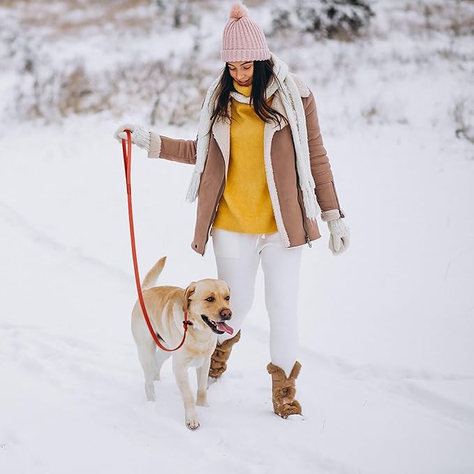 Dogline Biothane Slip Dog Leash - for Small, Medium and Large Dogs - Odor Free Slip Lead, Heavy Duty and Durable Material Kennel Lead - Cherry Red - 5ft L x 3/8in W