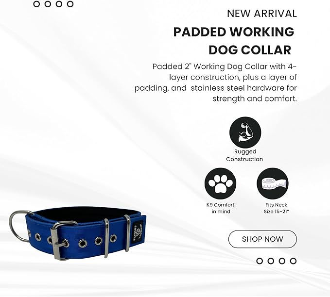 SparkDog Collars Padded Working Dog Collar - 2" 4ply Padded Dog Collar Heavy Duty Stainless Steel Tactical Seatbelt Wide Buckle Collar (Blue 2.0, 16-21" Large)